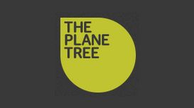 The Plane Tree
