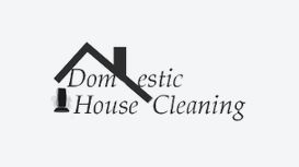 Domestic House Cleaning