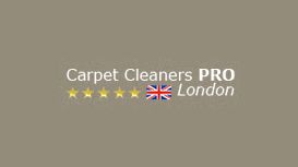 Carpet Cleaners Pro