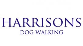 Harrisons-Dogs | Dog Walker
