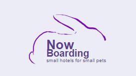 Now Boarding Pet Hotels