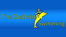 The Dolphin Swimming School